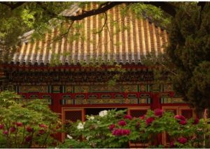 Cining Palace Garden