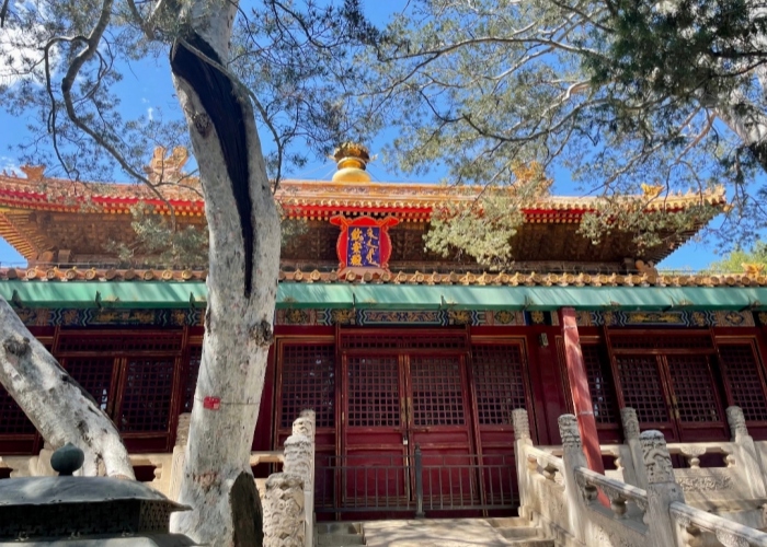 Forbidden City in the afternoon