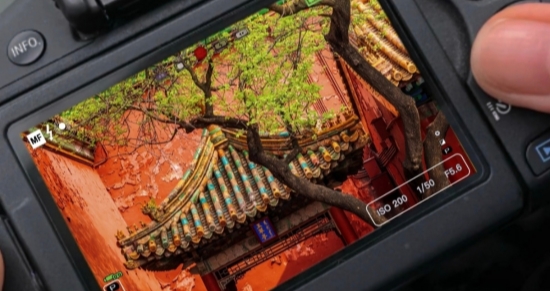 Forbidden City in the camera