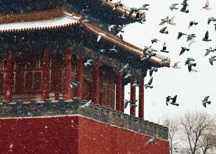 Forbidden City under snow