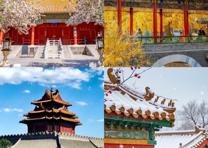 Four seasons of Forbidden City