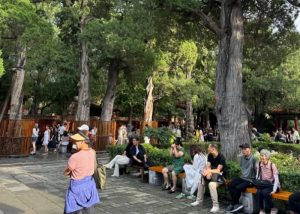 Imperial Garden