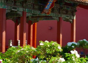 The Imperial Garden of the Forbidden City