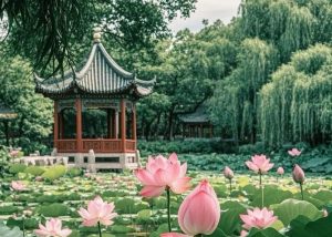 The Imperial Garden of the Forbidden City