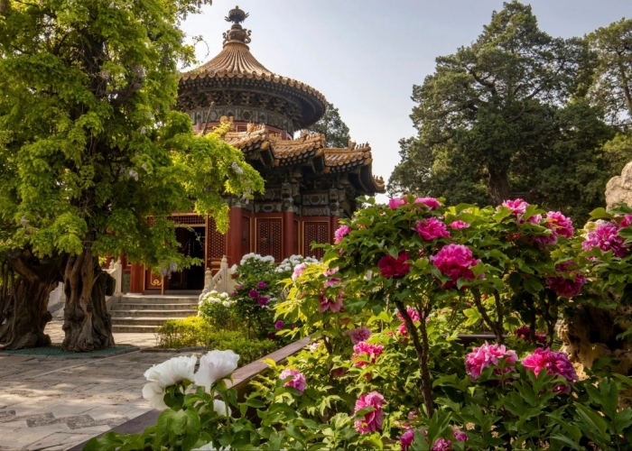 the landscape of Imperial Garden