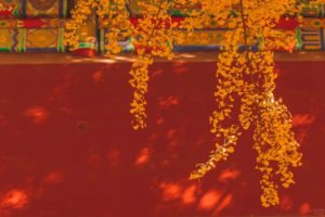 the red walls of the Forbidden City